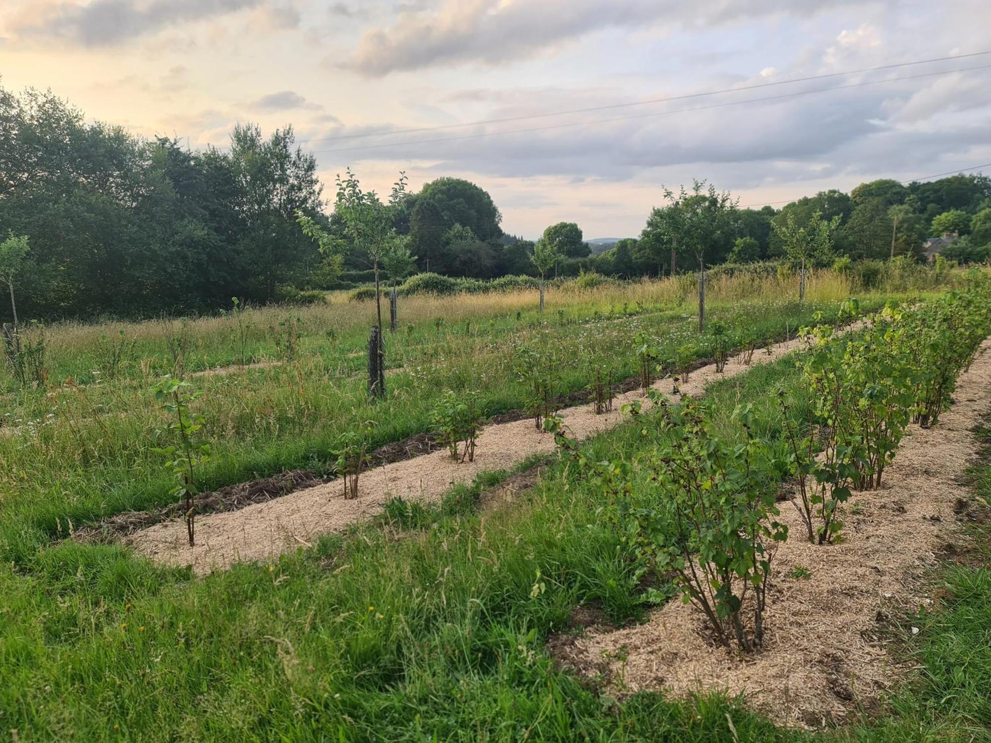 Chambre A La Ferme, Les Vergers Du Muscardin Breel エクステリア 写真